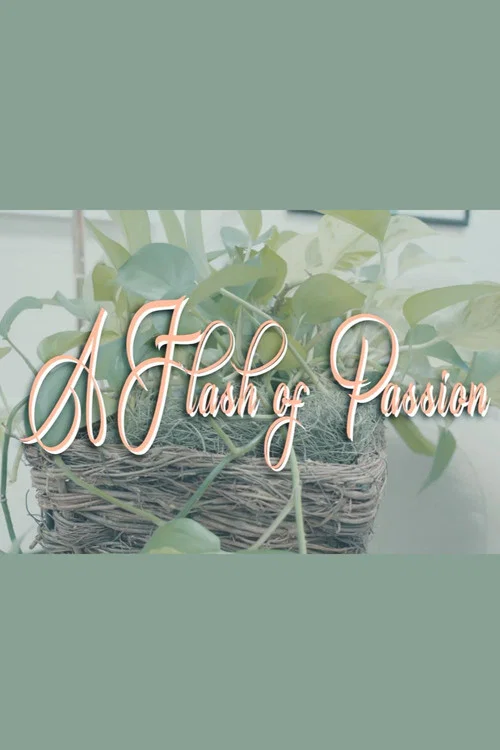 A Flash Of Passion постер