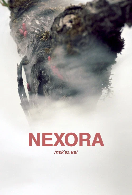 Nexora постер