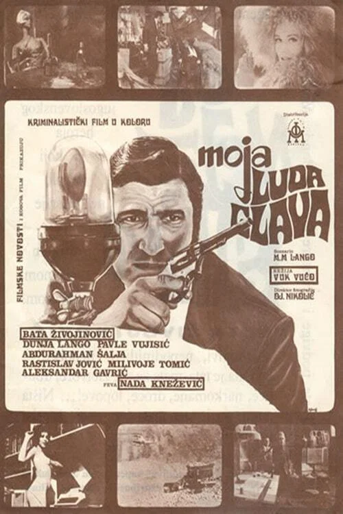 Moja luda glava постер
