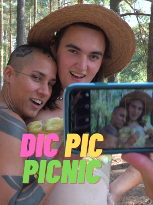 Dic Pic Picnic постер