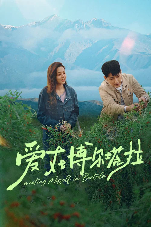 爱在博尔塔拉 постер