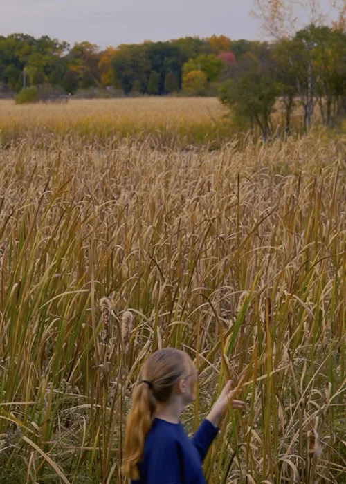 Wheat and Chaff постер
