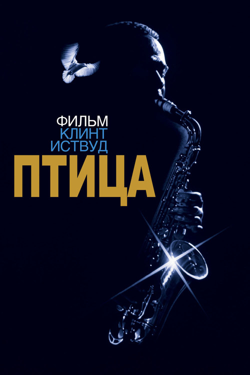 Птица постер
