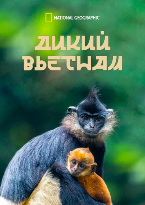 Дикий Вьетнам постер