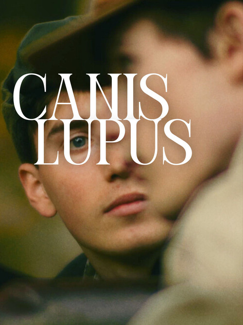 Canis Lupus постер