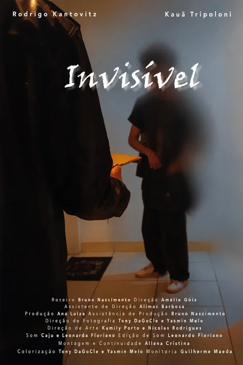 Invisivel постер
