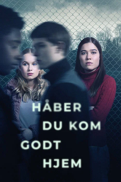 Håber du kom godt hjem постер