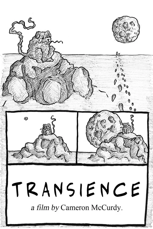 Transience постер