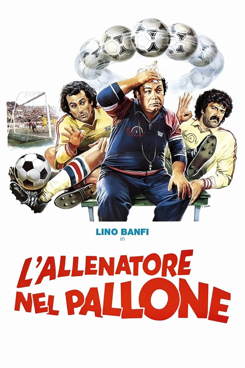 L'allenatore nel pallone постер