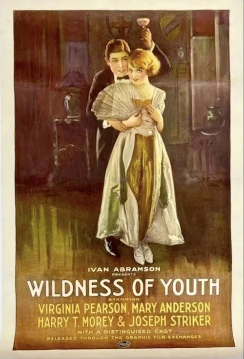Wildness of Youth постер