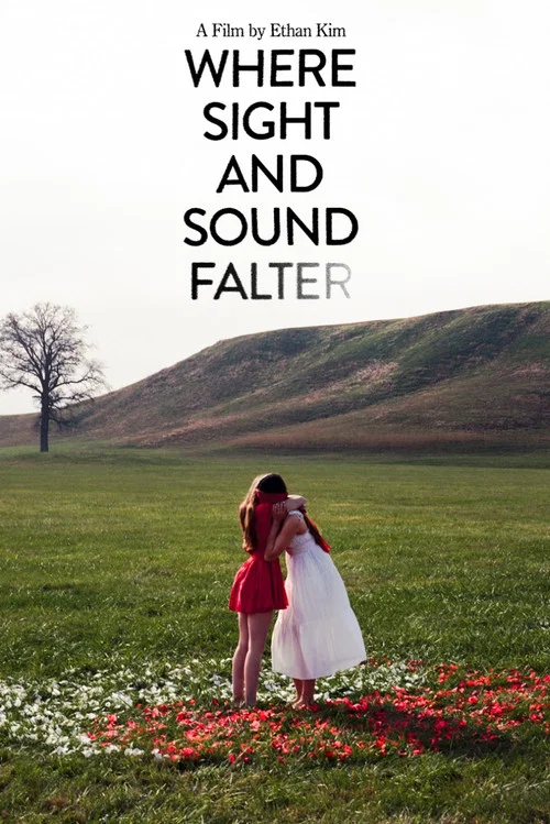 Where Sight and Sound Falter постер