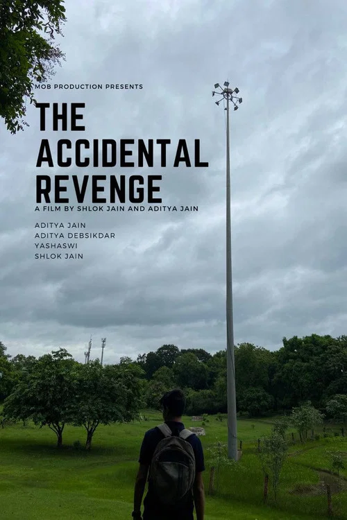 The Accidental Revenge постер