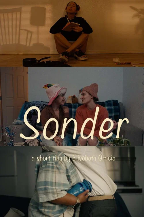 Sonder постер