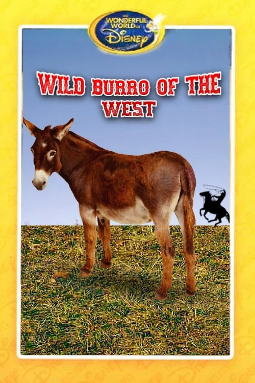Wild Burro of the West постер