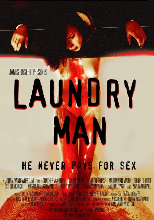 Laundry Man постер