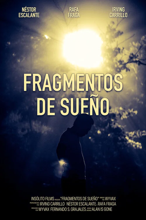 Fragmentos De Sueño постер