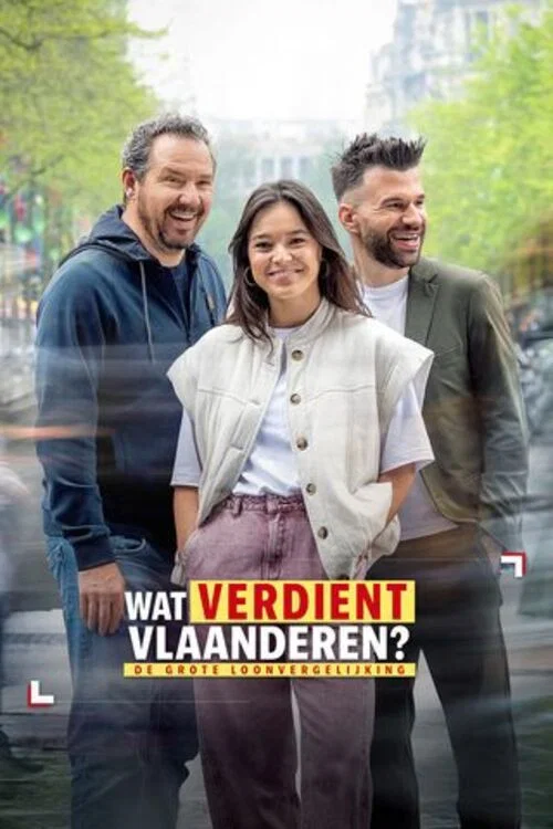 Wat verdient Vlaanderen? постер