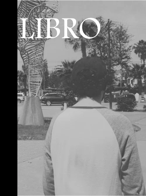 Libro постер