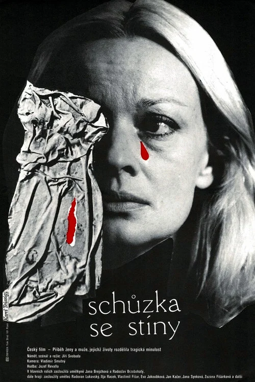 Schůzka se stíny постер