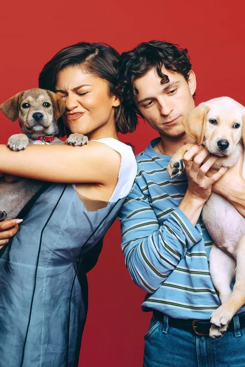 Celebs Play With Puppies & Kittens постер