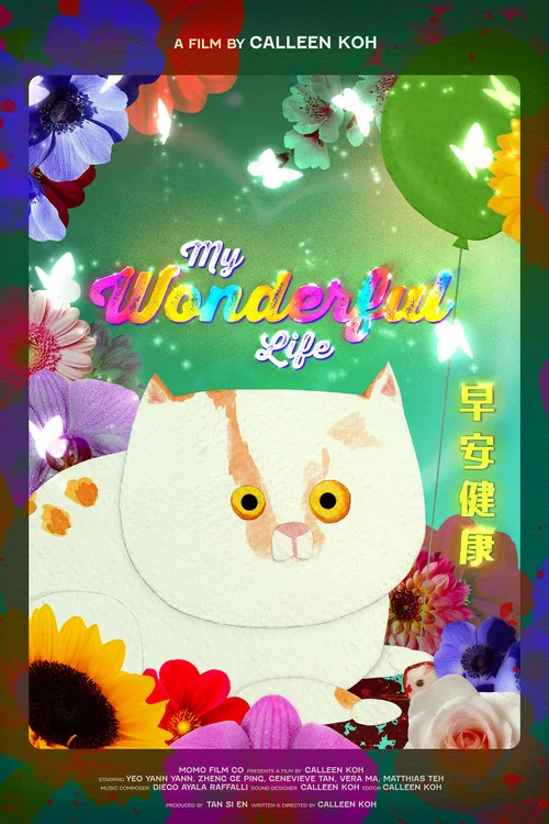 My Wonderful Life постер