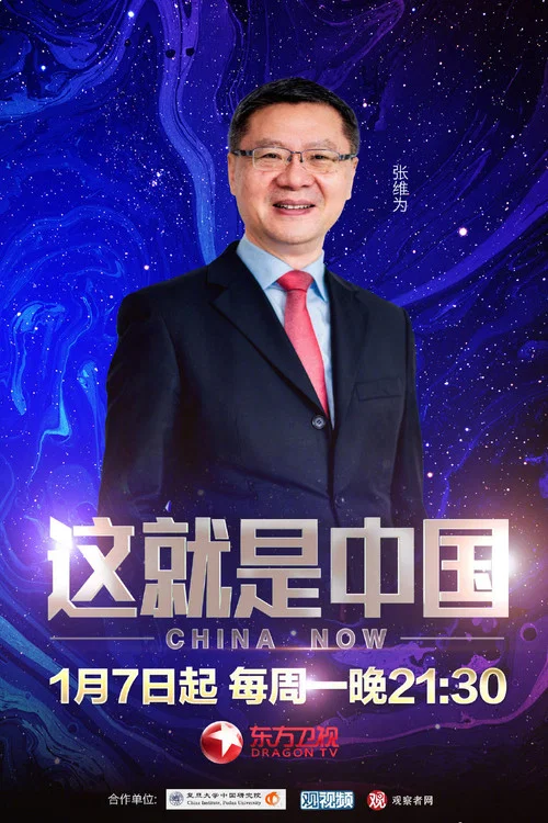 这就是中国 постер