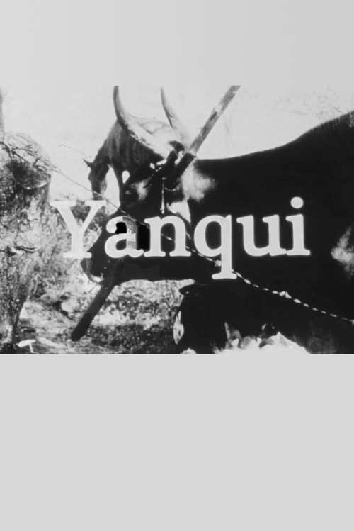 Yanqui WALKER and the OPTICAL REVOLUTION постер