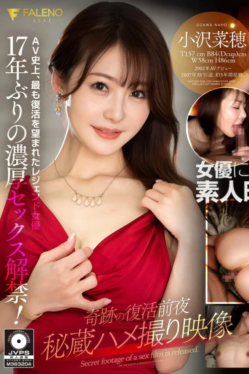奇跡の復活前夜 秘蔵ハメ撮り映像 小沢菜穂 постер