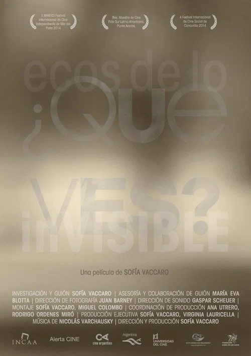 ¿Qué ves? Ecos de lo invisible постер