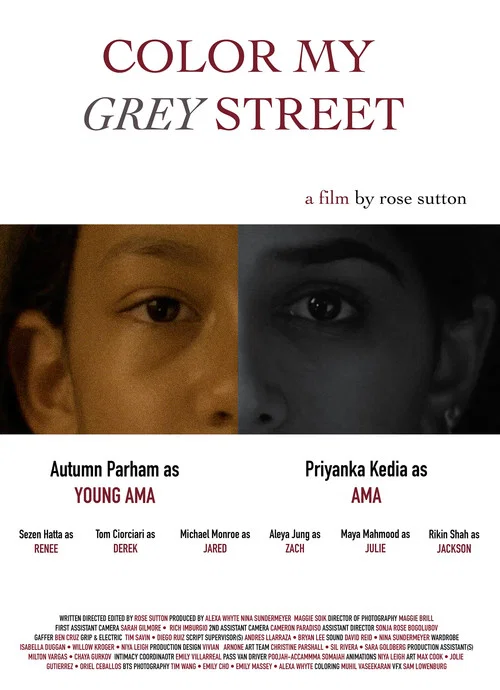 Color My Grey Street постер
