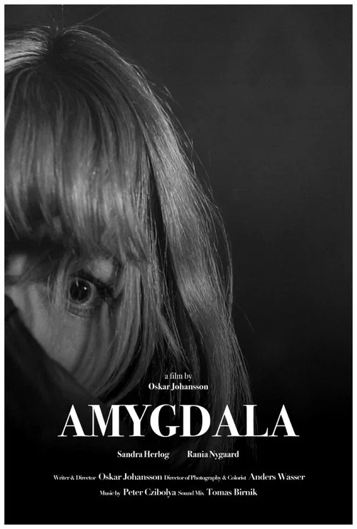 Amygdala постер