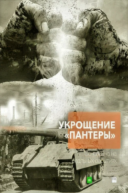 Укрощение «Пантеры» постер