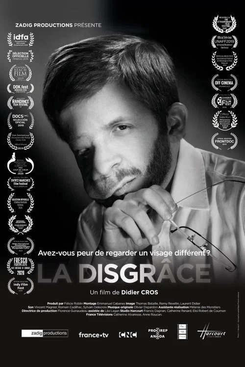 La disgrâce постер