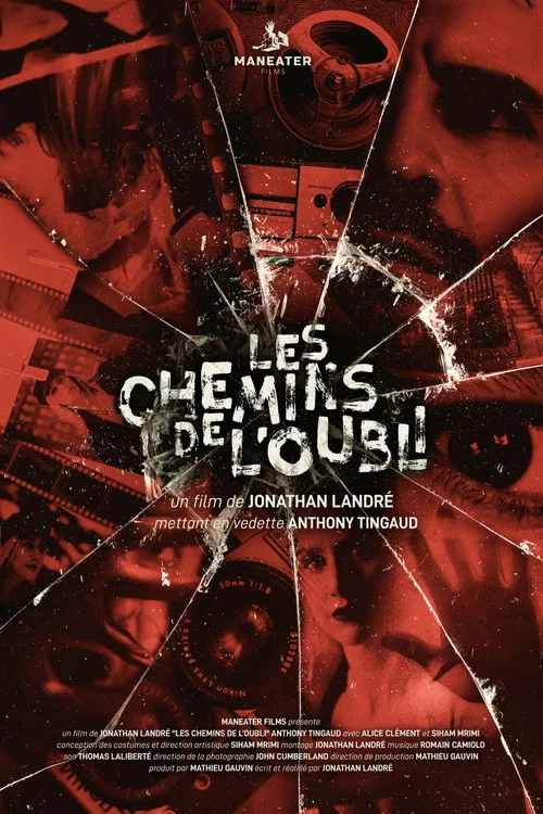 Les chemins de l'oubli постер