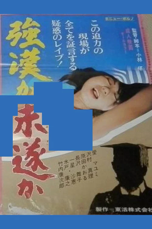 強姦か未遂か постер