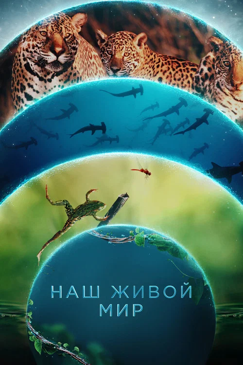 Наш живой мир постер