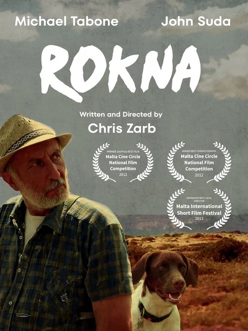 Rokna постер