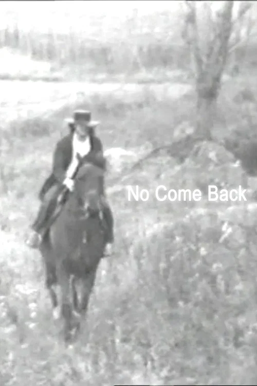 No Come Back постер