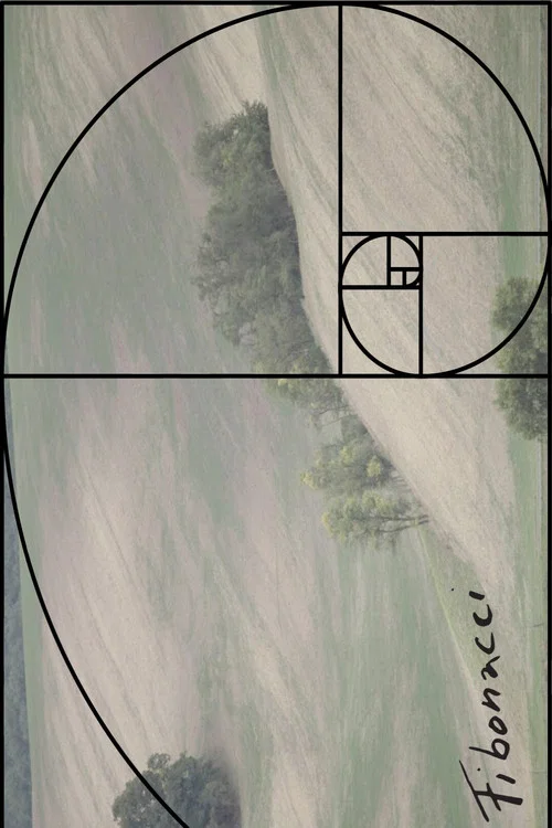 Fibonacci постер