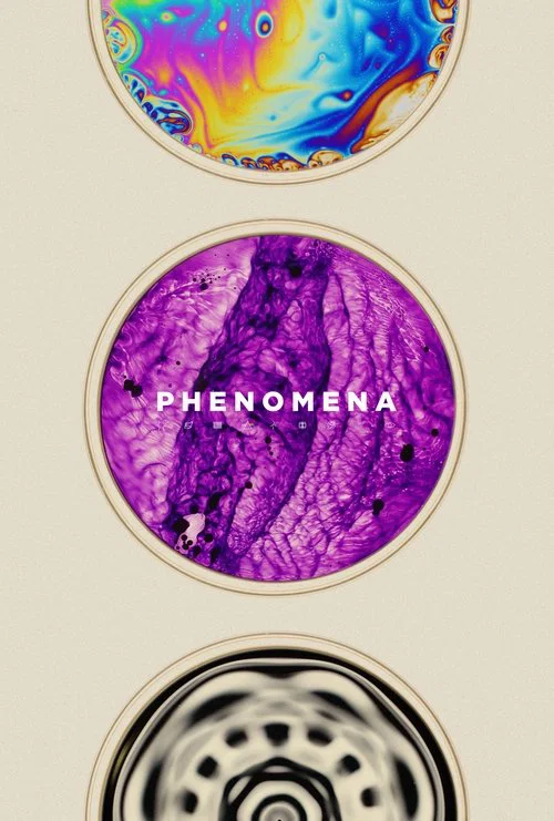 Phenomena постер
