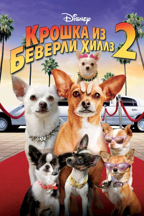 Крошка из Беверли-Хиллз 2 постер