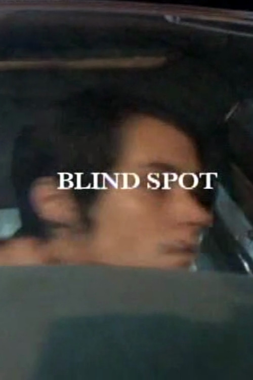 Blind Spot постер