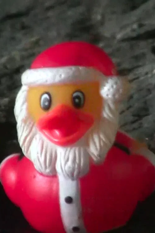 Duck Santa постер