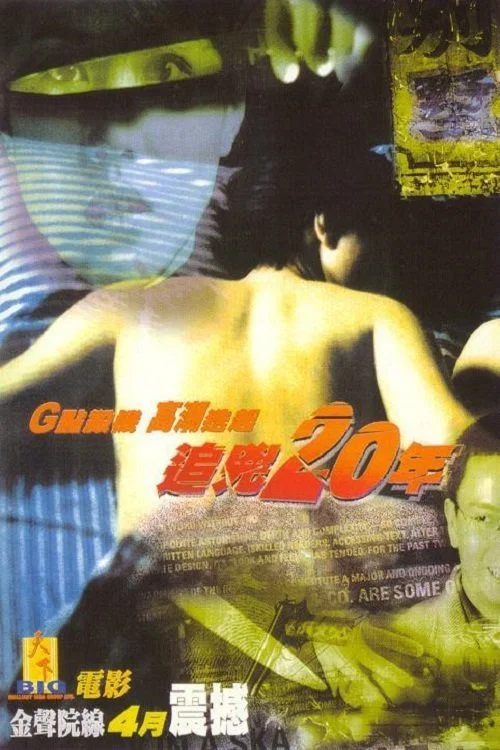 追凶20年 постер