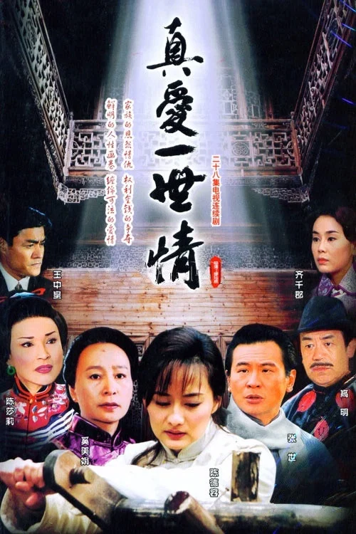 真爱一世情 постер