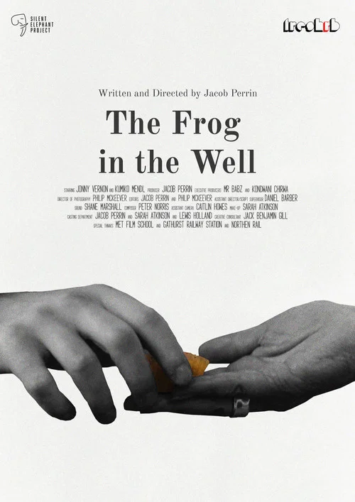 The Frog in The Well постер