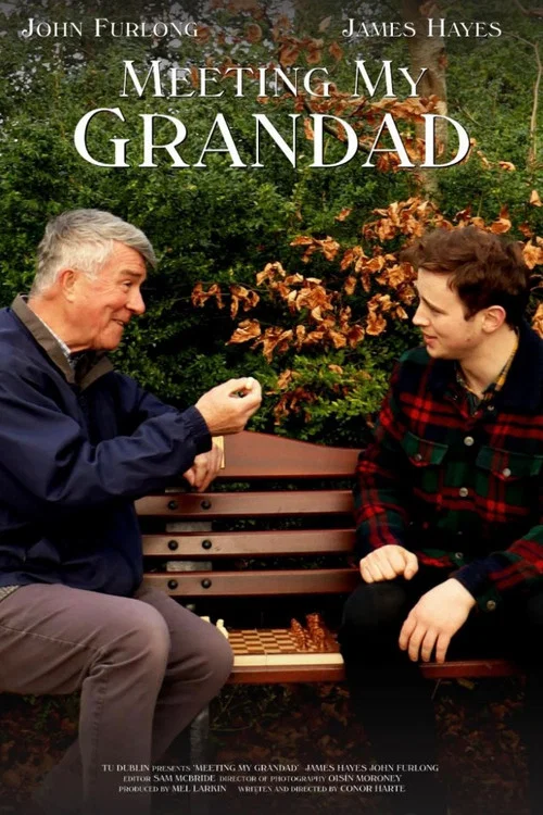 Meeting My Grandad постер