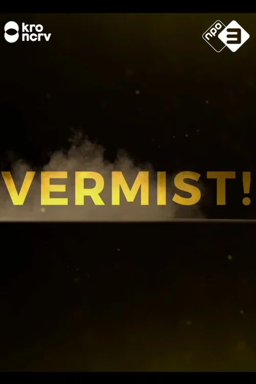Vermist! постер