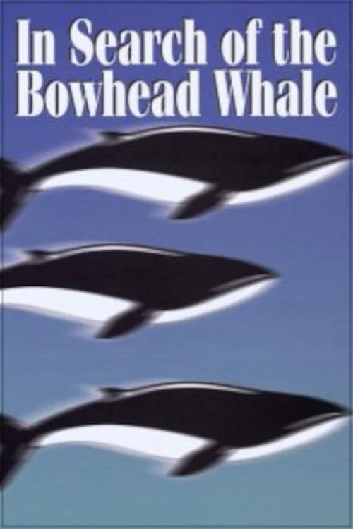 In Search of the Bowhead Whale постер