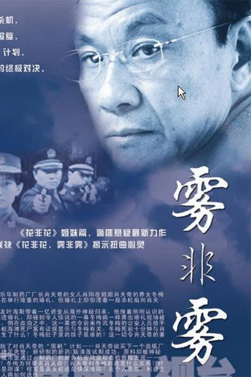 雾非雾 постер